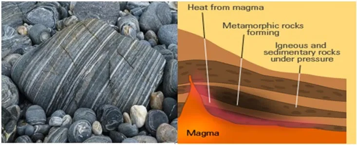Metamorphic Rocks